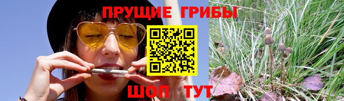 Псилоцибиновые грибы мицелий  Вход с VPN  Дзержинск 